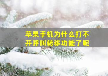 苹果手机为什么打不开呼叫转移功能了呢