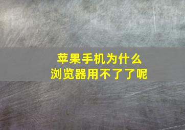 苹果手机为什么浏览器用不了了呢