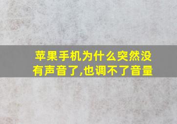 苹果手机为什么突然没有声音了,也调不了音量