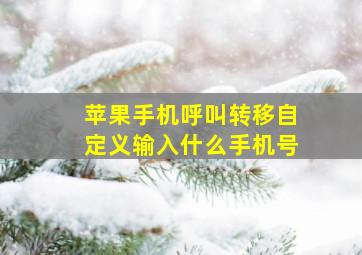 苹果手机呼叫转移自定义输入什么手机号