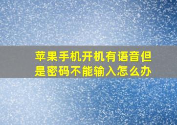 苹果手机开机有语音但是密码不能输入怎么办