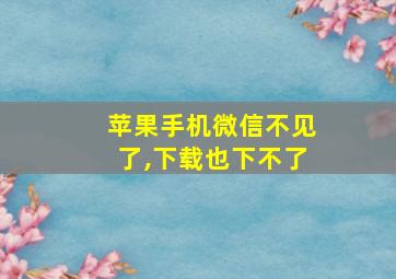 苹果手机微信不见了,下载也下不了