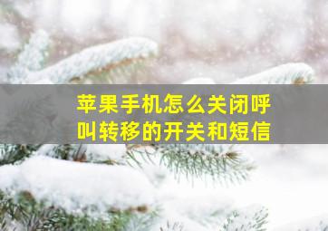 苹果手机怎么关闭呼叫转移的开关和短信