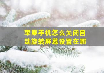 苹果手机怎么关闭自动旋转屏幕设置在哪