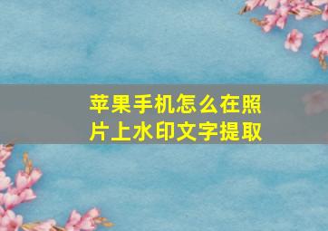 苹果手机怎么在照片上水印文字提取