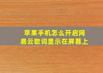 苹果手机怎么开启网易云歌词显示在屏幕上