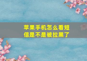 苹果手机怎么看短信是不是被拉黑了