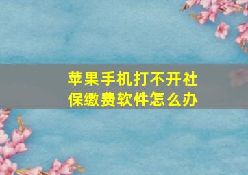 苹果手机打不开社保缴费软件怎么办