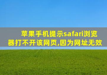 苹果手机提示safari浏览器打不开该网页,因为网址无效