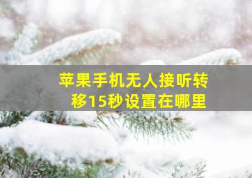 苹果手机无人接听转移15秒设置在哪里