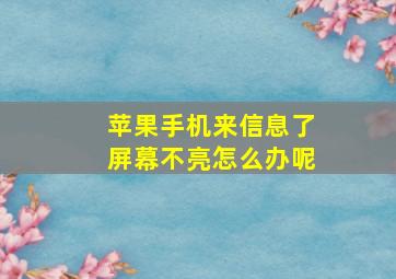 苹果手机来信息了屏幕不亮怎么办呢