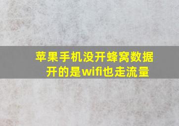 苹果手机没开蜂窝数据开的是wifi也走流量