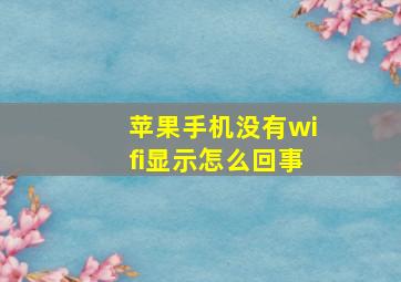 苹果手机没有wifi显示怎么回事