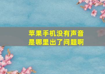 苹果手机没有声音是哪里出了问题啊