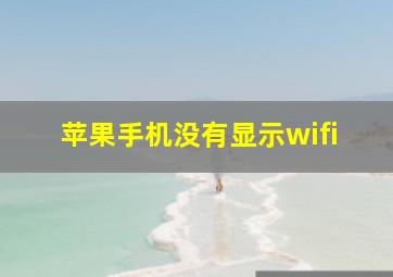 苹果手机没有显示wifi