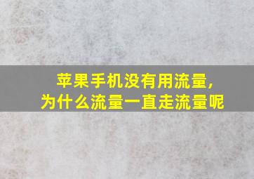 苹果手机没有用流量,为什么流量一直走流量呢