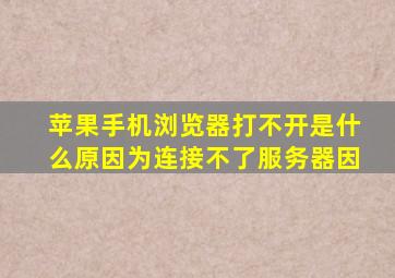 苹果手机浏览器打不开是什么原因为连接不了服务器因