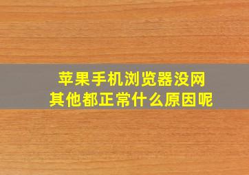 苹果手机浏览器没网其他都正常什么原因呢