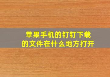 苹果手机的钉钉下载的文件在什么地方打开