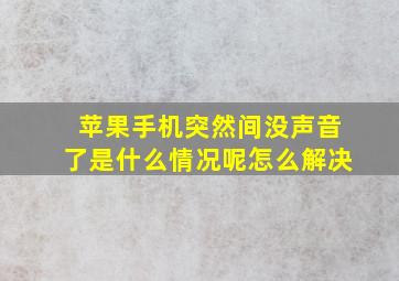 苹果手机突然间没声音了是什么情况呢怎么解决