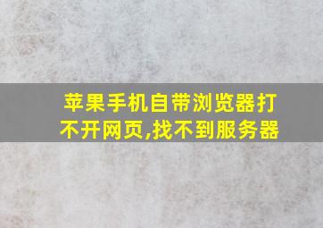 苹果手机自带浏览器打不开网页,找不到服务器