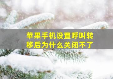 苹果手机设置呼叫转移后为什么关闭不了