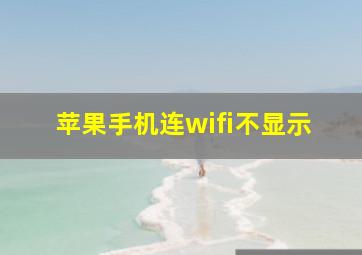 苹果手机连wifi不显示