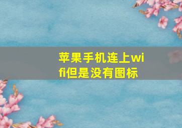 苹果手机连上wifi但是没有图标