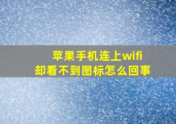 苹果手机连上wifi却看不到图标怎么回事