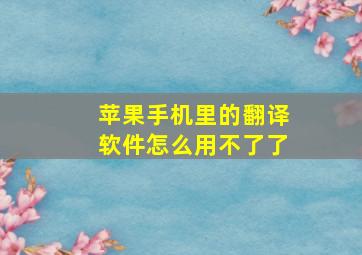 苹果手机里的翻译软件怎么用不了了