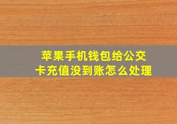 苹果手机钱包给公交卡充值没到账怎么处理