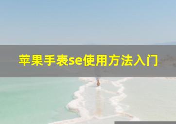 苹果手表se使用方法入门