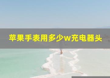 苹果手表用多少w充电器头