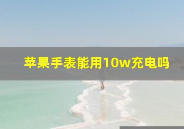 苹果手表能用10w充电吗