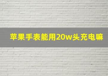 苹果手表能用20w头充电嘛