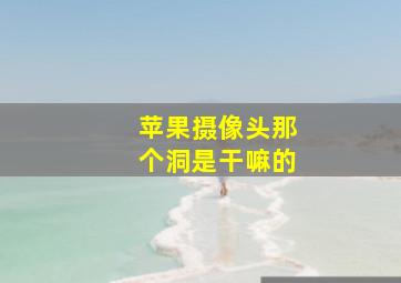 苹果摄像头那个洞是干嘛的