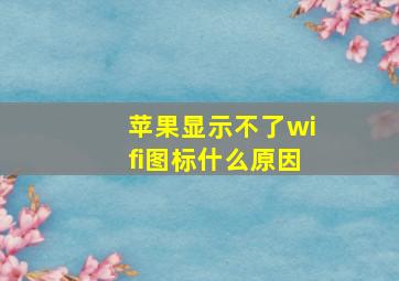 苹果显示不了wifi图标什么原因