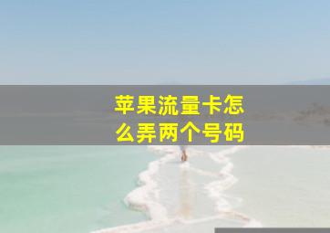 苹果流量卡怎么弄两个号码