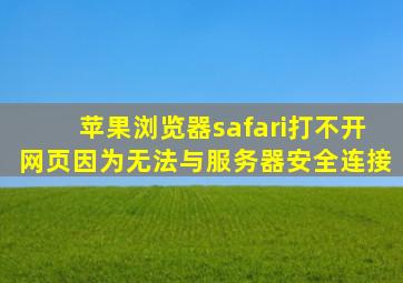 苹果浏览器safari打不开网页因为无法与服务器安全连接