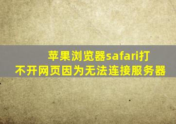 苹果浏览器safari打不开网页因为无法连接服务器