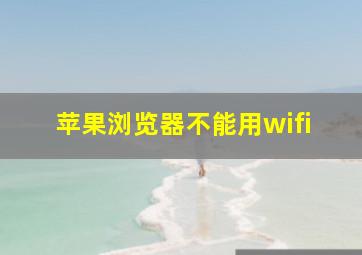 苹果浏览器不能用wifi