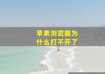 苹果浏览器为什么打不开了