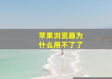 苹果浏览器为什么用不了了