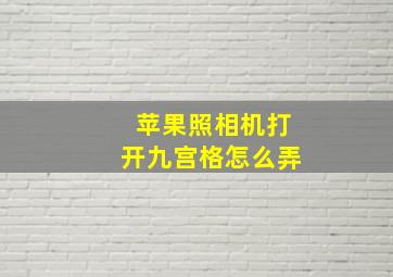 苹果照相机打开九宫格怎么弄