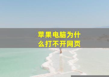 苹果电脑为什么打不开网页