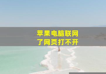 苹果电脑联网了网页打不开