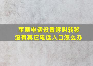 苹果电话设置呼叫转移没有其它电话入口怎么办