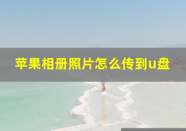 苹果相册照片怎么传到u盘