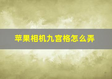 苹果相机九宫格怎么弄