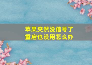 苹果突然没信号了重启也没用怎么办